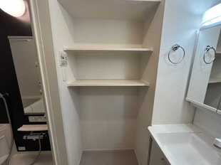 Pic3