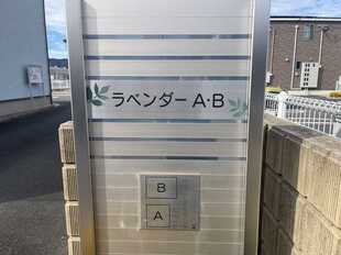 Pic13
