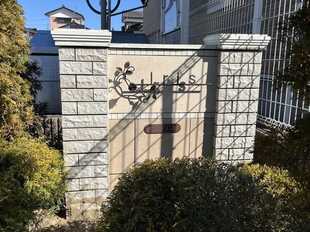 Pic13