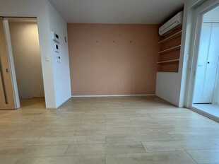 Pic1