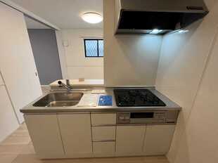 Pic3
