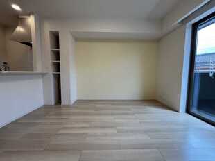 Pic1