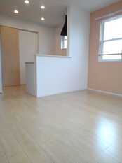 Pic1