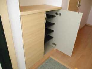 Pic11