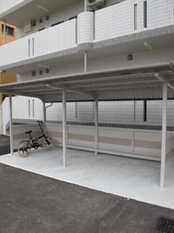 Pic19
