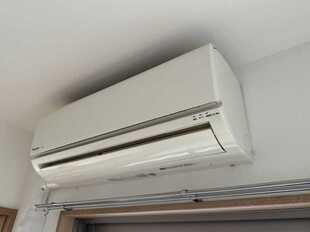 Pic41