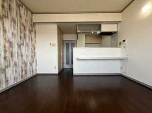 Pic1