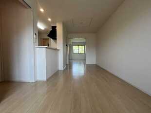Pic1