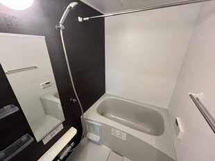 Pic3