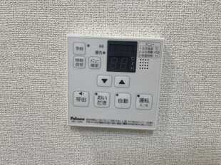 Pic11