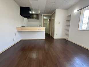Pic1