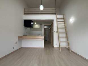 Pic1