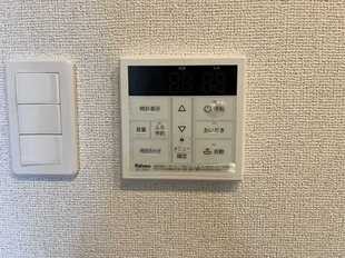 Pic11