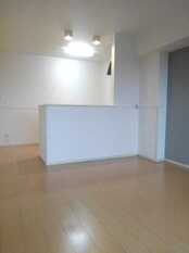 Pic1