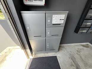 Pic21