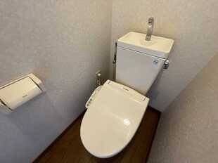 Pic3