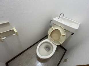Pic5