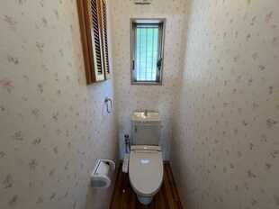 Pic3