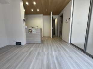 Pic1