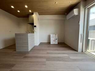 Pic1