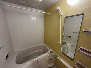Pic5