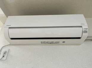 Pic11