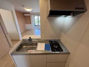 Pic3