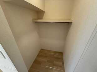 Pic19