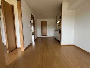 Pic1