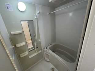 Pic3