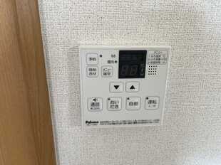 Pic11