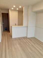 Pic3