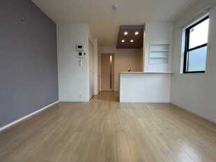Pic11