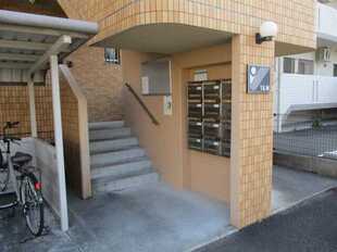 Pic19