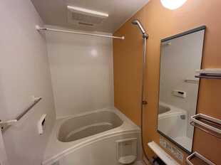Pic11