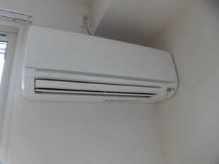 Pic11