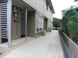 Pic13