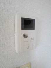 Pic11