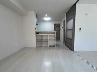 Pic1