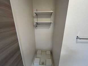 Pic15