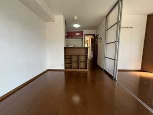 Pic1
