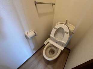Pic5