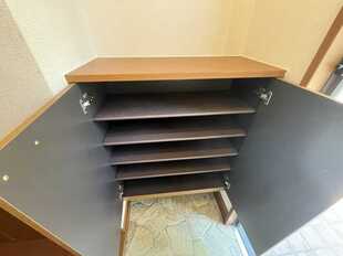 Pic11