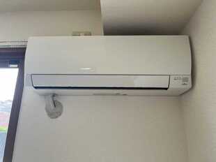Pic13