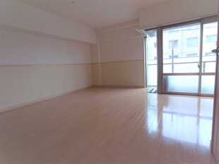 Pic11