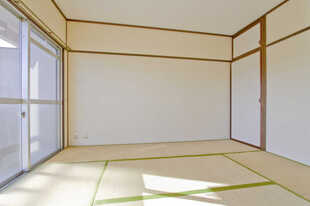 Pic3
