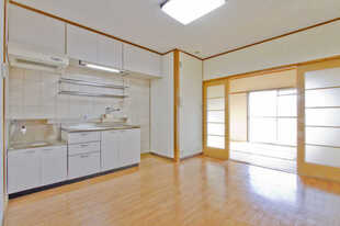 Pic1