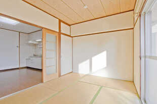 Pic3