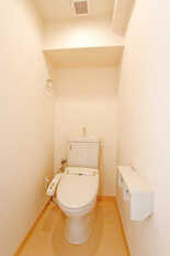 Pic8