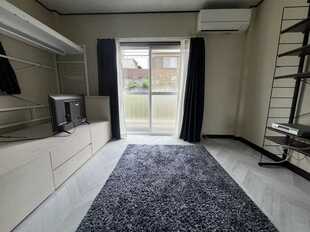 Pic1